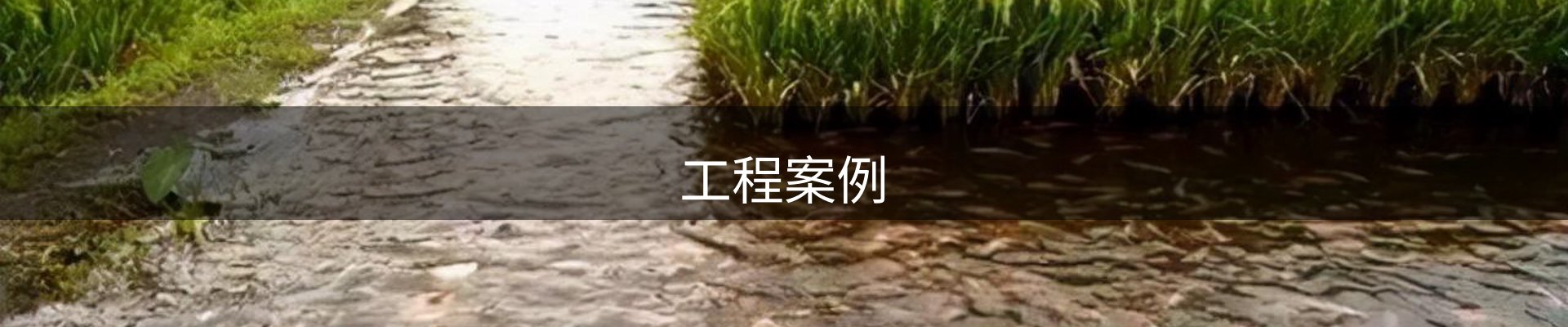 工程案例